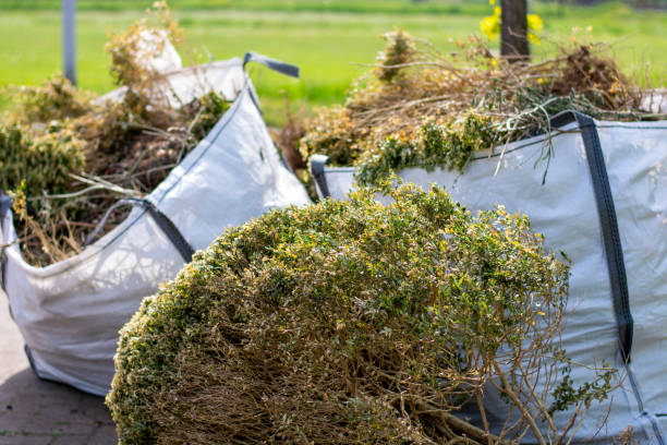 Best Yard Waste Removal  in Hedwig Village, TX